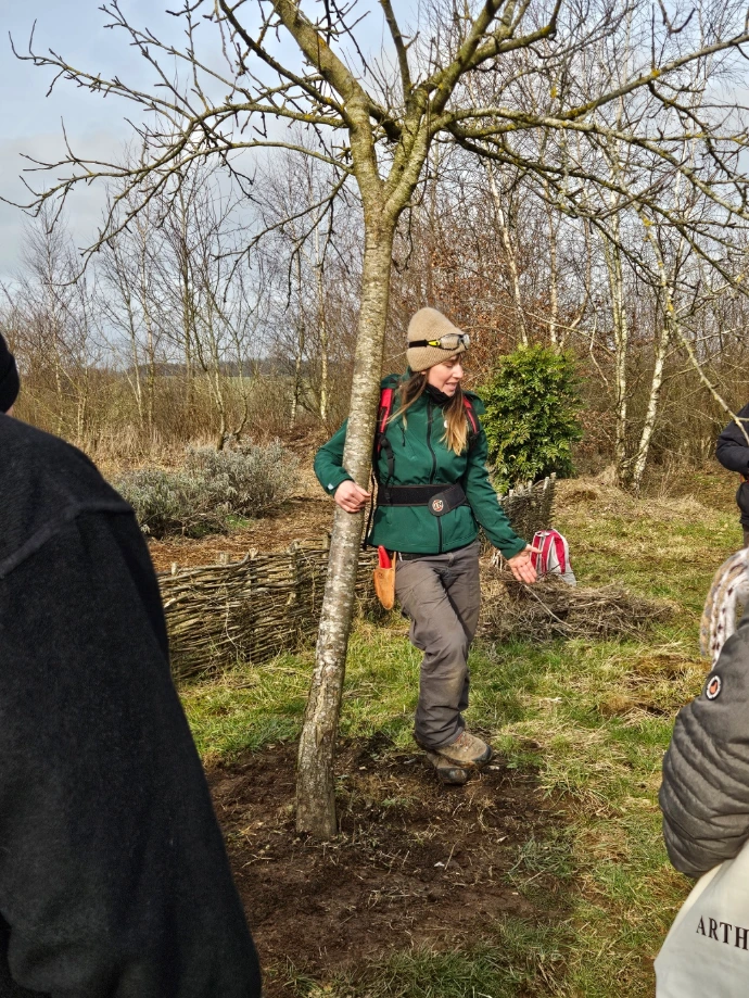 Taille en axe central